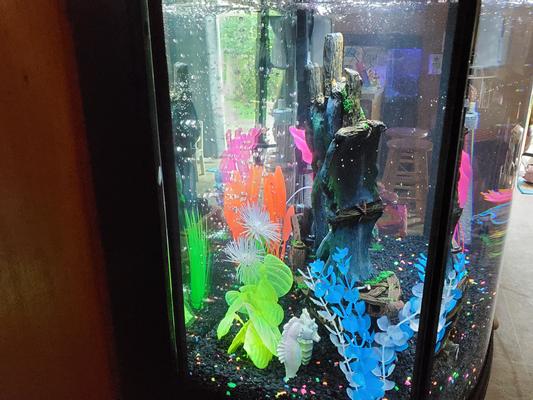 Love this Glo-Fish brand of gear.