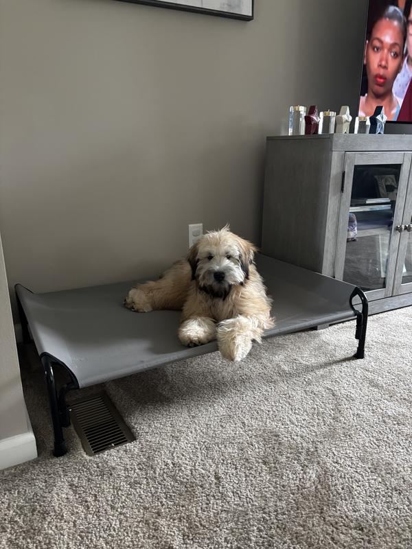 I love my new bed!