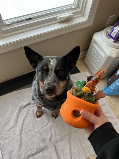Leeloo LOVES her enrichment toy