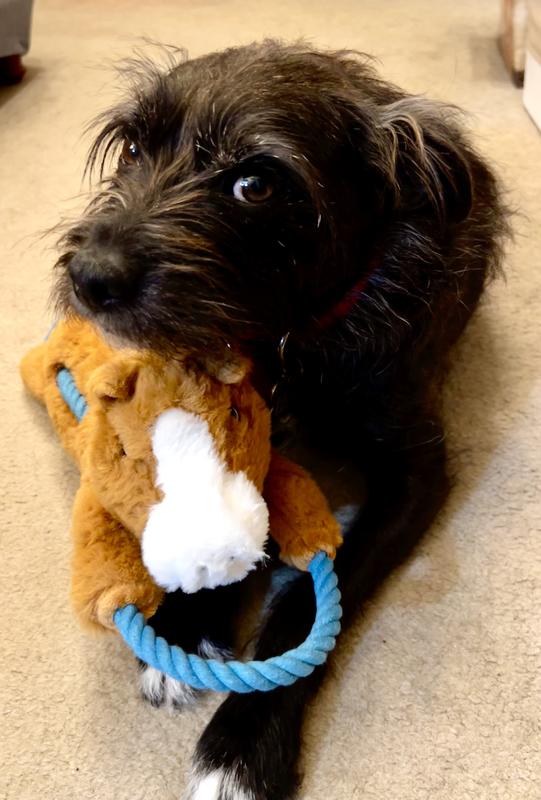 I think I like this horse!