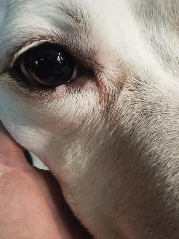 Looks so much better!