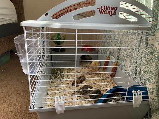 Living world small animal 2024 cage