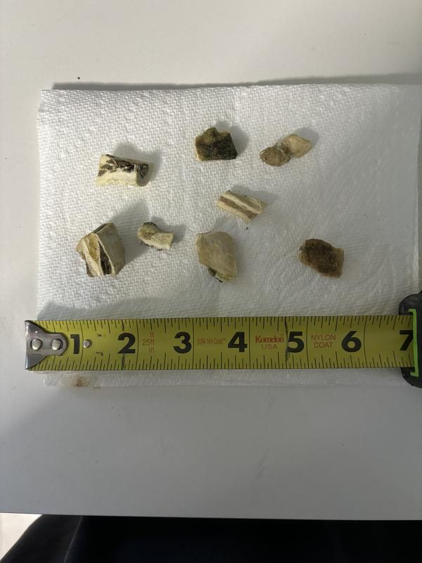 Size - many different sized pieces