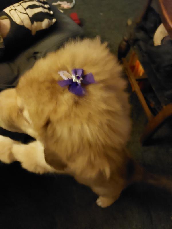 Willow Skye with her bow!