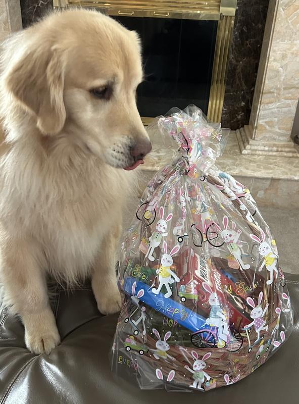 Check out his tongue as he sees the treats in there. I just wish she didn’t destroy the carrots that fast.  At least his frisbee lasted.