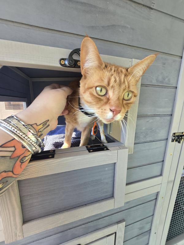 The doors are great for pets and snacks