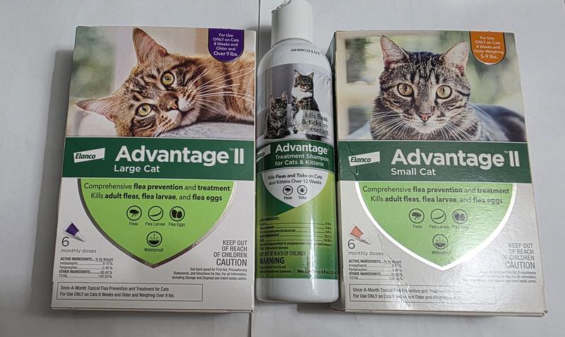 When Can Cat Groom After Advantge Muli: Essential Timing Tips