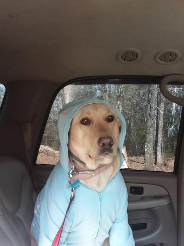 She has less problems getting in car now.