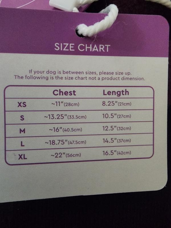 Correct Size Chart