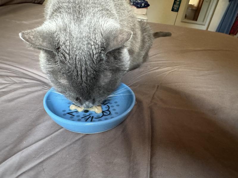 Moonpie is loving this!