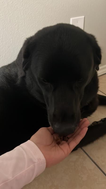 Even my big boy loves them!