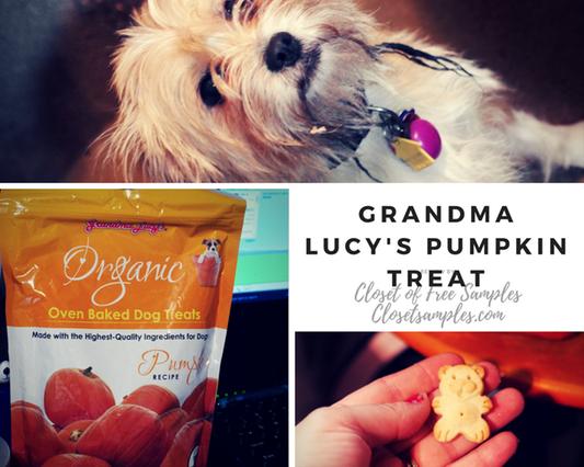 Grandma lucy's organic pumpkin dog outlet treats