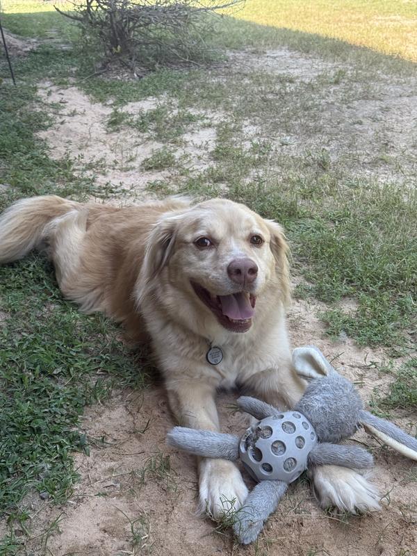 The wipes work well for removing the sand that is tracked in from our back yard!