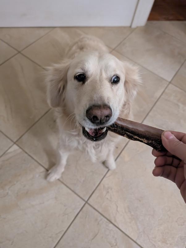 Avery wasn't sure at first but they grew on her