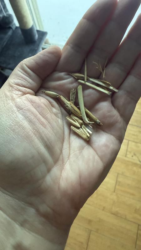 Stems are not digestible