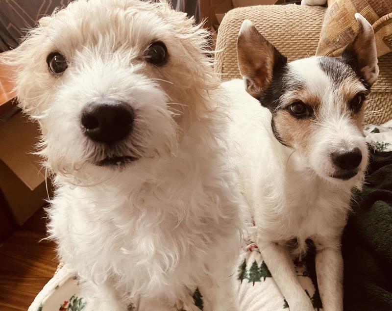 Eager always for food!