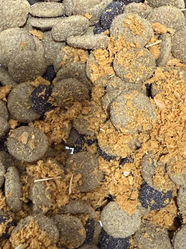 Small pieces of wood mixed into the package