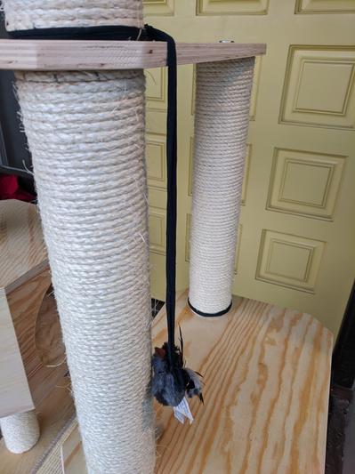 hang cat toys from posts - old panty hose perfect for this