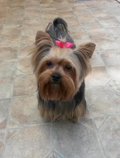 Laney, 10yrs old this 10/29/21