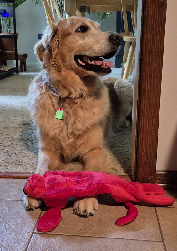 Jaxson's new toy