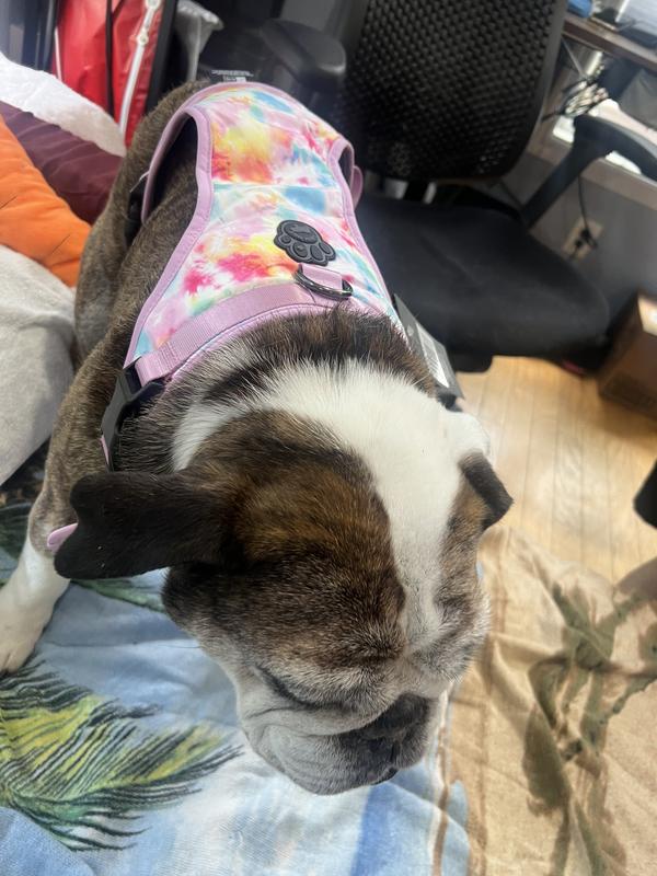 Canada Pooch Follow Me Tee Tye Dye Print Dog T-Shirt