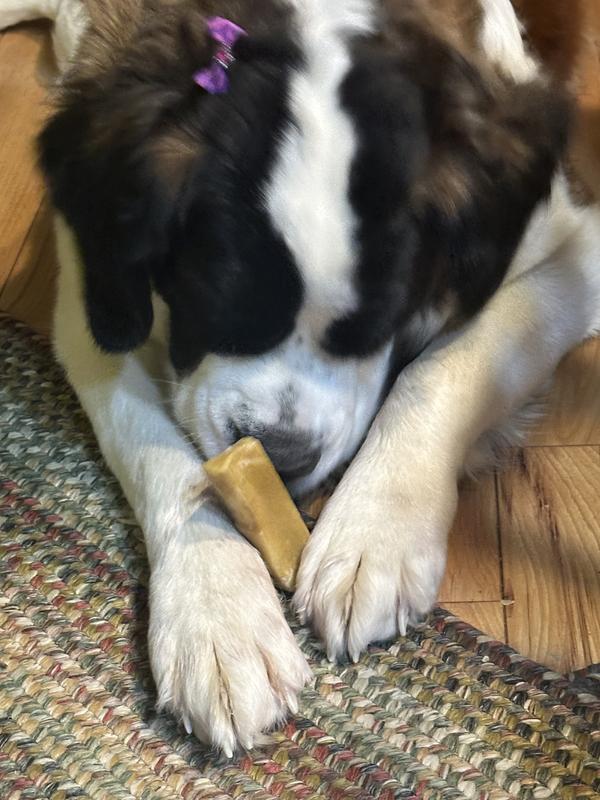 Rescued baby thrilled to have a treat!!