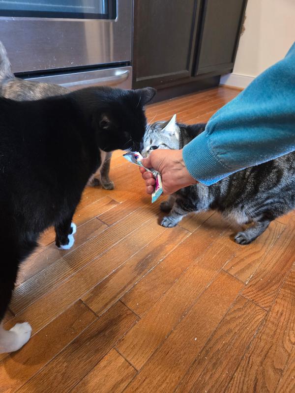 Can't Give Fast Enough