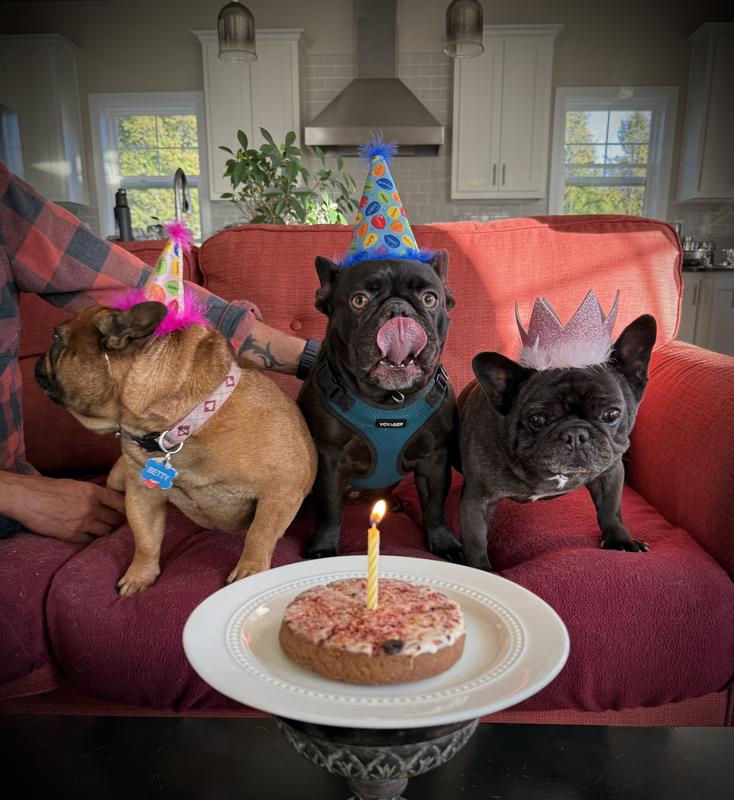 A birthday party with friends.