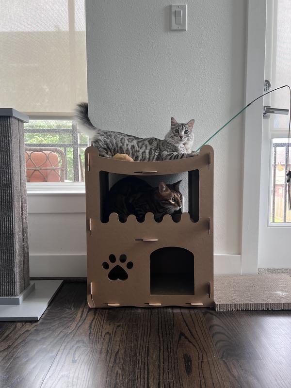 Great for multiple cats