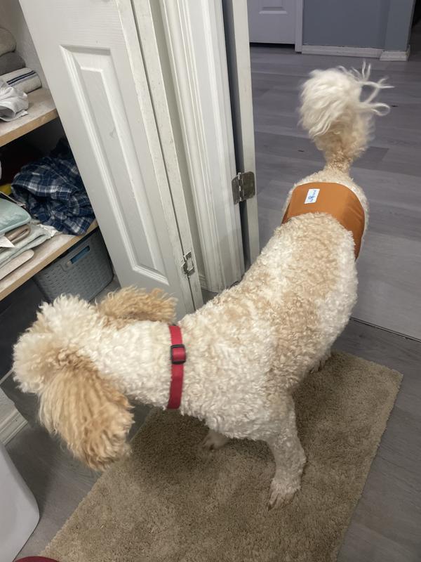 Wearing his band
