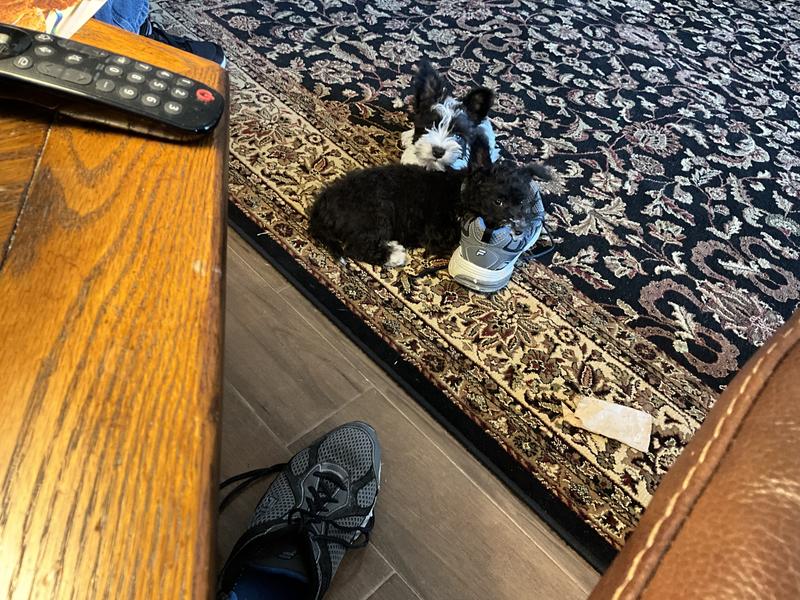 I wonder if we are going to be in trouble again. Lol