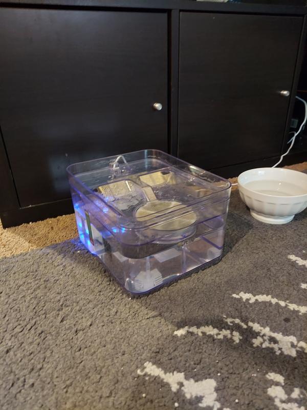 Lights on, but no motor.