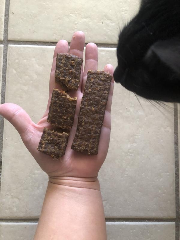 The cats get jealous the treats aren’t for them