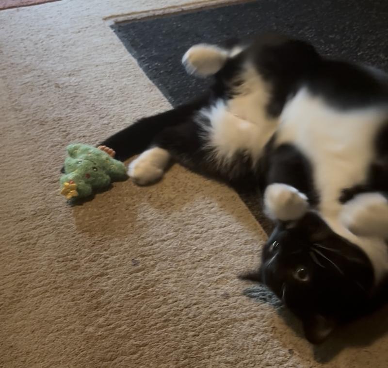 Tired out from so much fun.