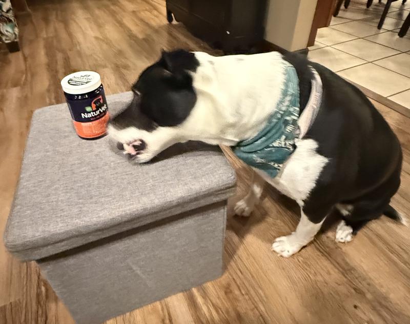 Branden can’t wait for his tasty vitamin