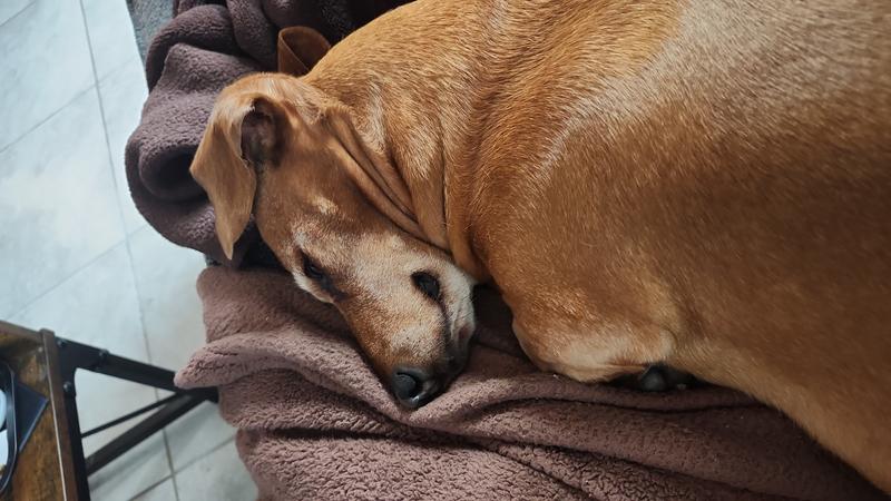 Im tryin, to keep the sun out my puppy eyes.