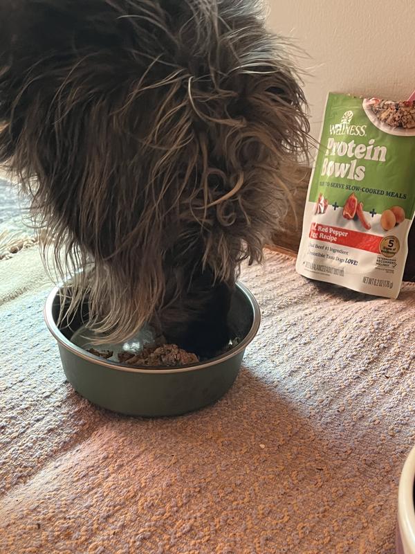 nom nom nom more please!