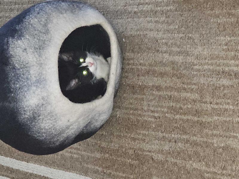 thumbnail image 2 of LELEBEAR Cutypet Winter Cave Cuty Pet Winter Cave Cat Bed Washable With 2 of 12