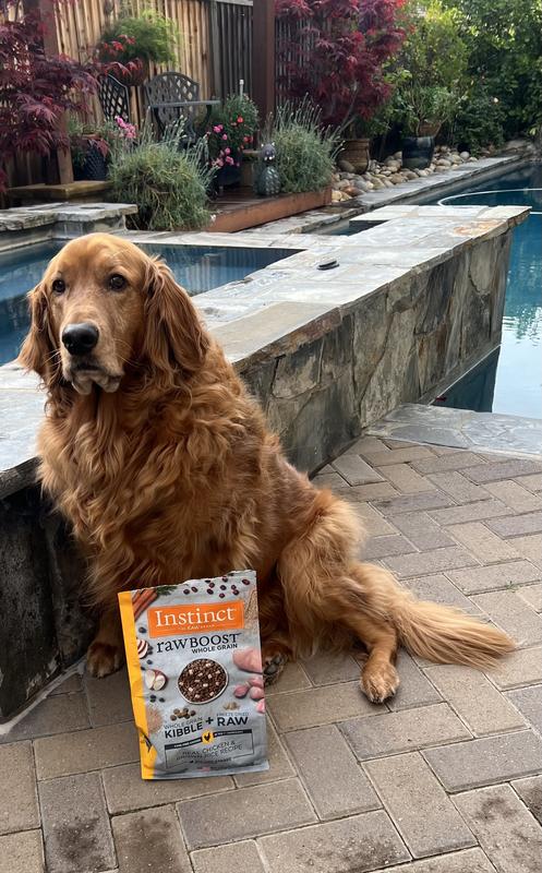 Buy Instinct. I highly recommend it.