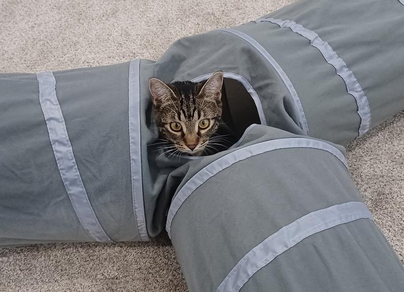 Playing all the time!