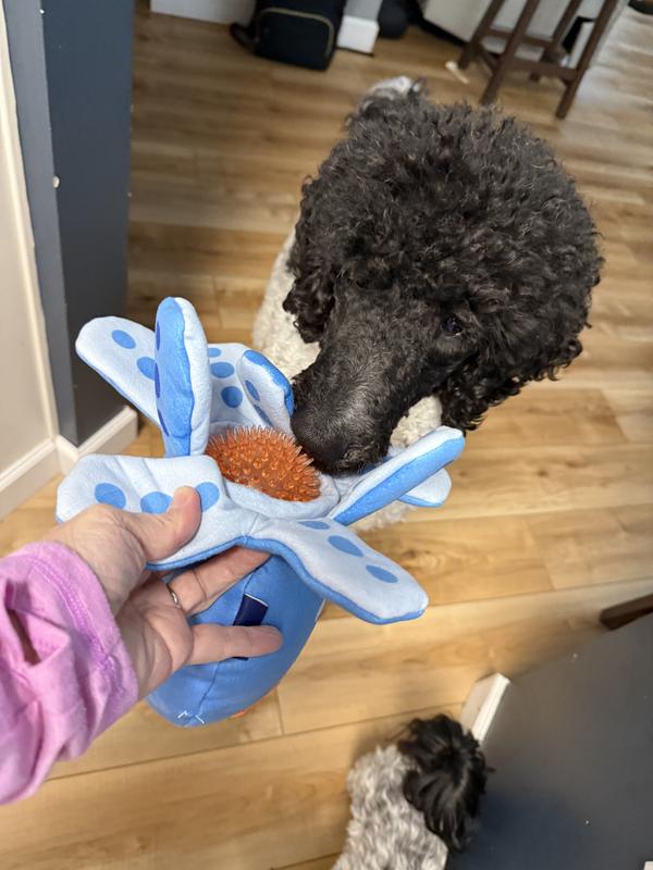 The excitement of anew toy!!