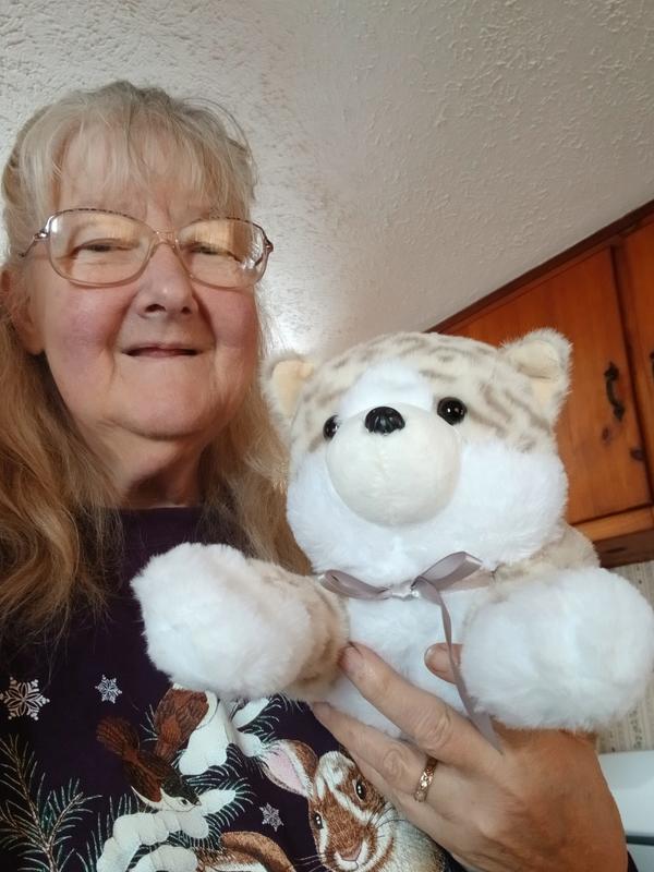 Stuffed Kitty, strong enough for a pet, yet soft enough to help heal a stroke victim
