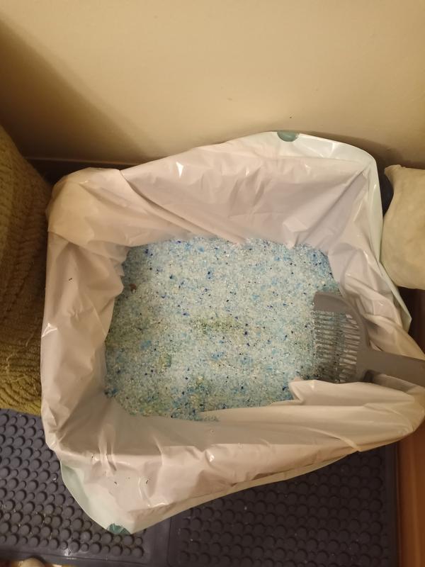 Perfect for all cats