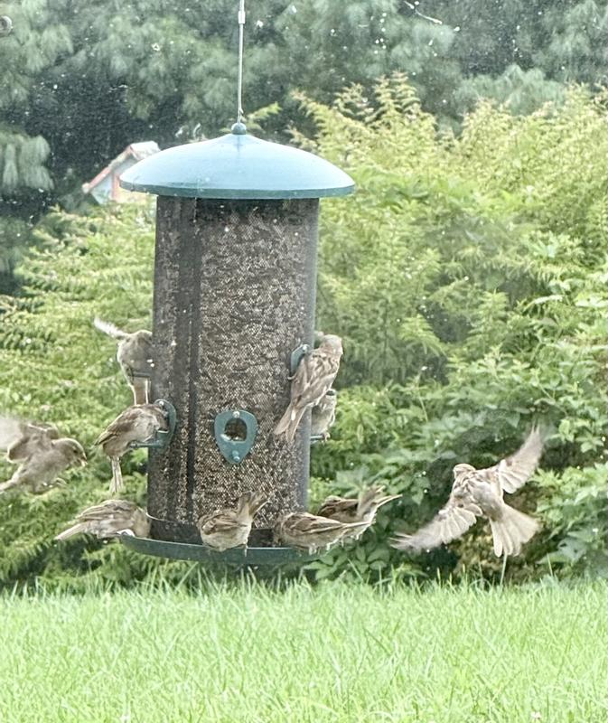 Picture says it all.