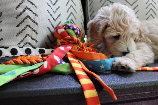 Nylabone happy clearance moppy