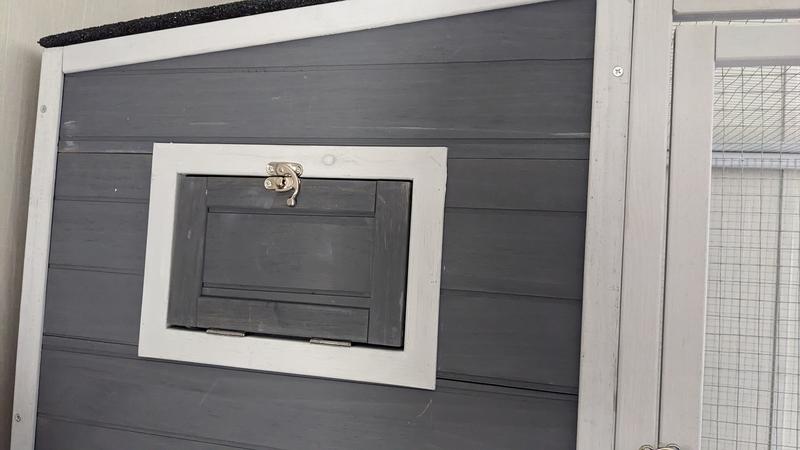 Closer look at the paint