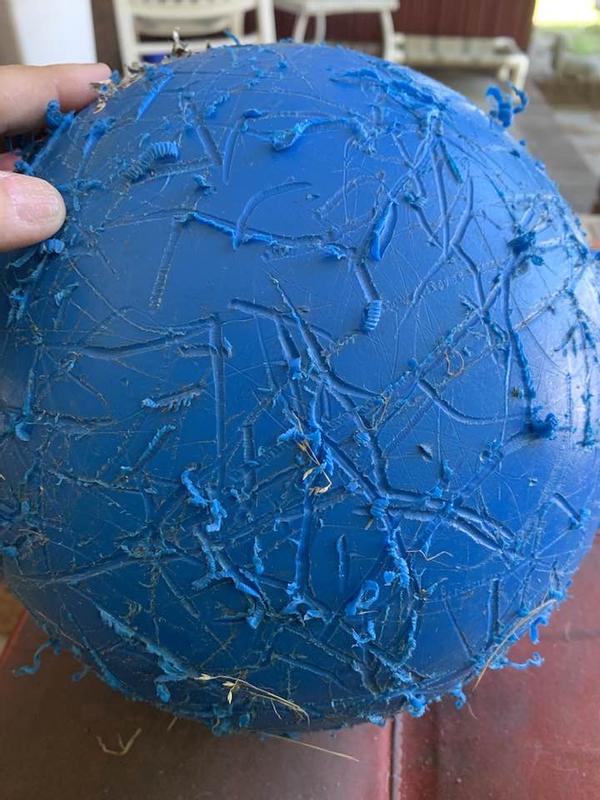 THE VIRTUALLY INDESTRUCTIBLE BALL Dog Toy, Color Varies, 14in