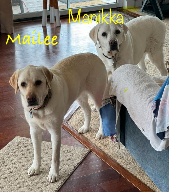 5yr old Mae & 16yr old Nikka waiting for mommy to give them their Darford treats.