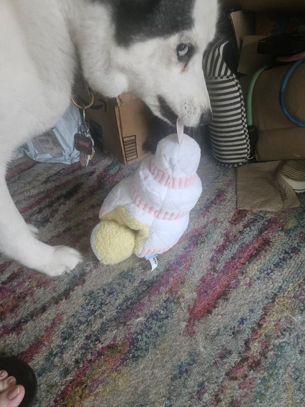 holding the cake by the rat topper