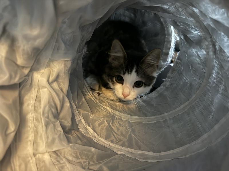 He loves to just handy out here too